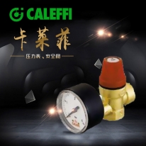 意大利卡萊菲壓力表+安全閥